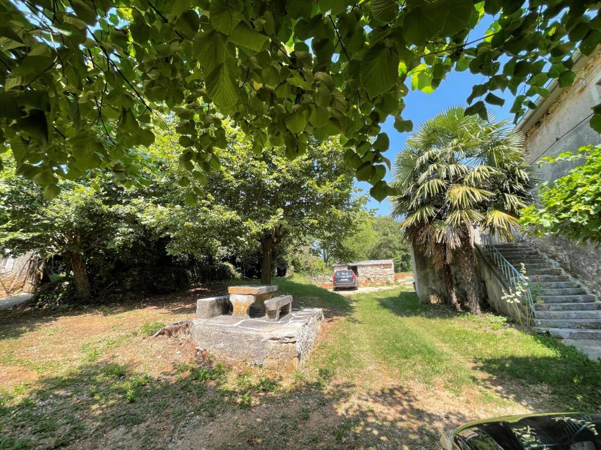 Villa Berto Nedeščina Εξωτερικό φωτογραφία